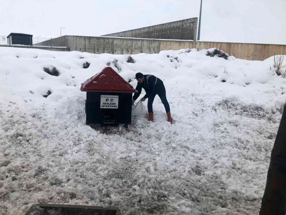 Selçuklu’da 24 saat kar mesaisi! Sokak hayvanları unutulmadı