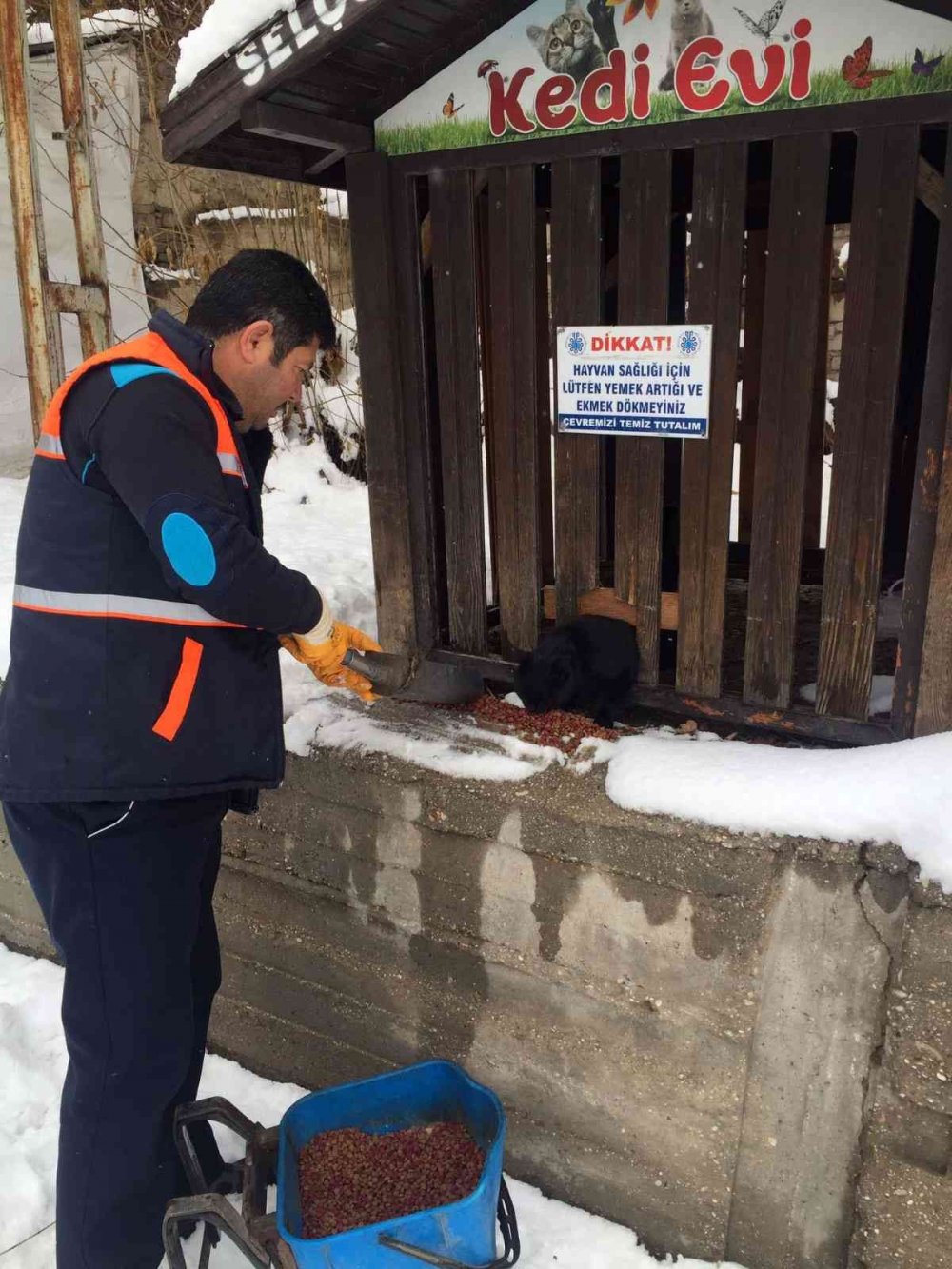 Selçuklu’da 24 saat kar mesaisi! Sokak hayvanları unutulmadı