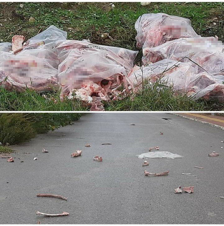 Sokak köpekleri yine dehşet saçtı! Saldırıya uğrayan yaşlı adamı esnaf kurtardı