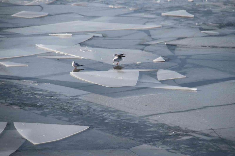 Konya'da hava buz kesti! Kıyılar kısmen dondu