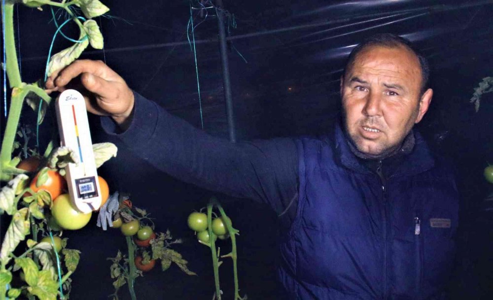 Hava eksiye düştü zirai don nöbeti başladı!