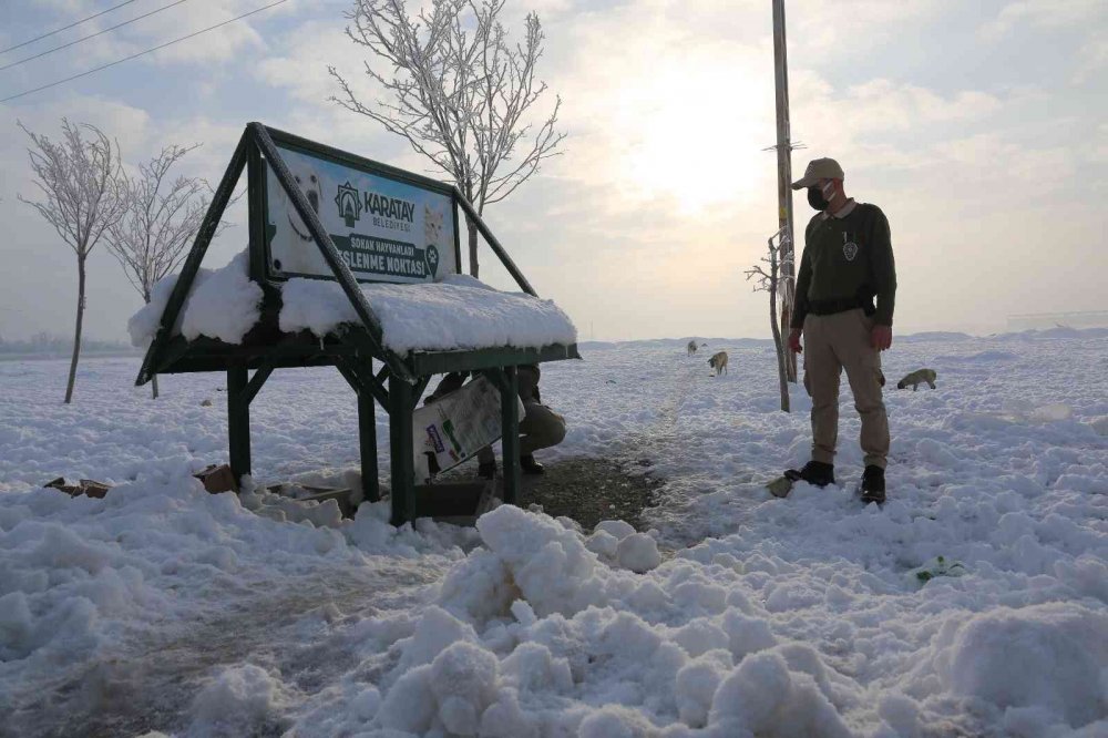 Konya'da hayvan haklarını ihlal eden 49 kişiye 417 bin 545 lira para cezası