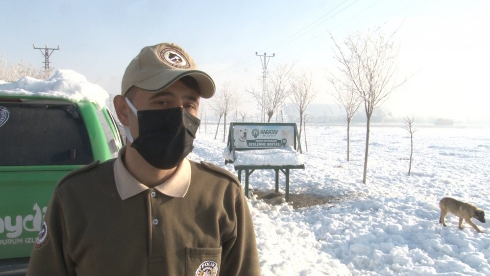 Konya'da hayvan haklarını ihlal eden 49 kişiye 417 bin 545 lira para cezası