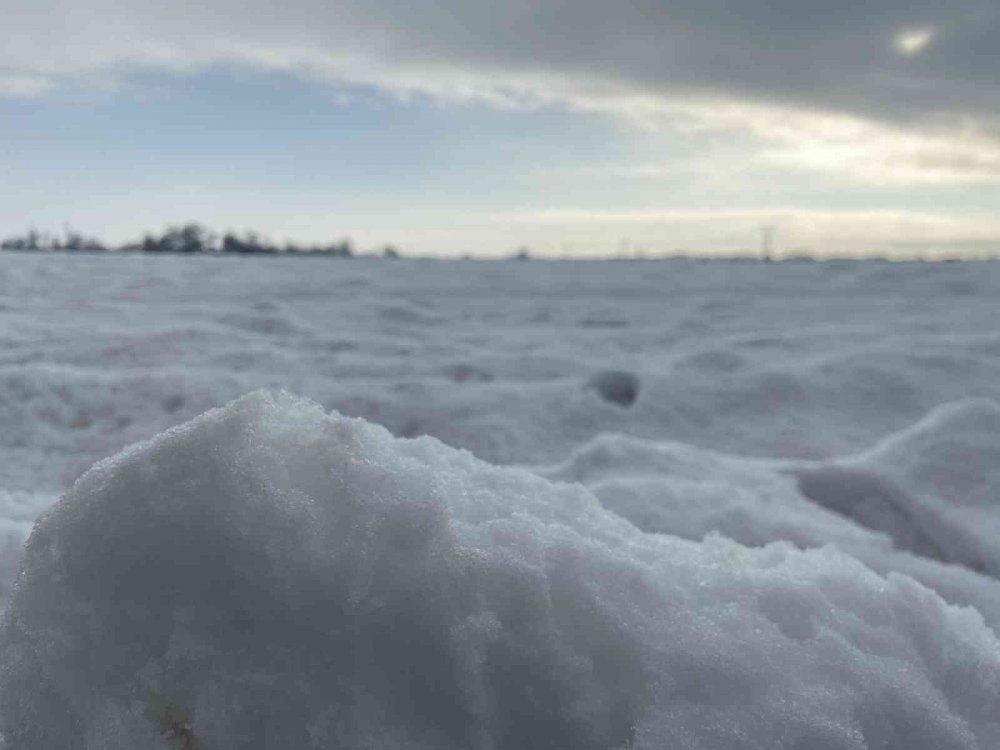 Konya Ovası beyaz örtüyle kaplandı! Üretici sevinçli