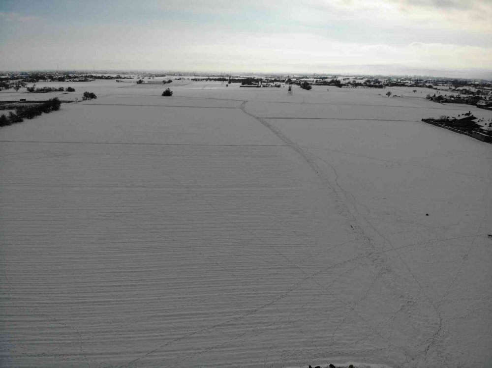Konya Ovası beyaz örtüyle kaplandı! Üretici sevinçli