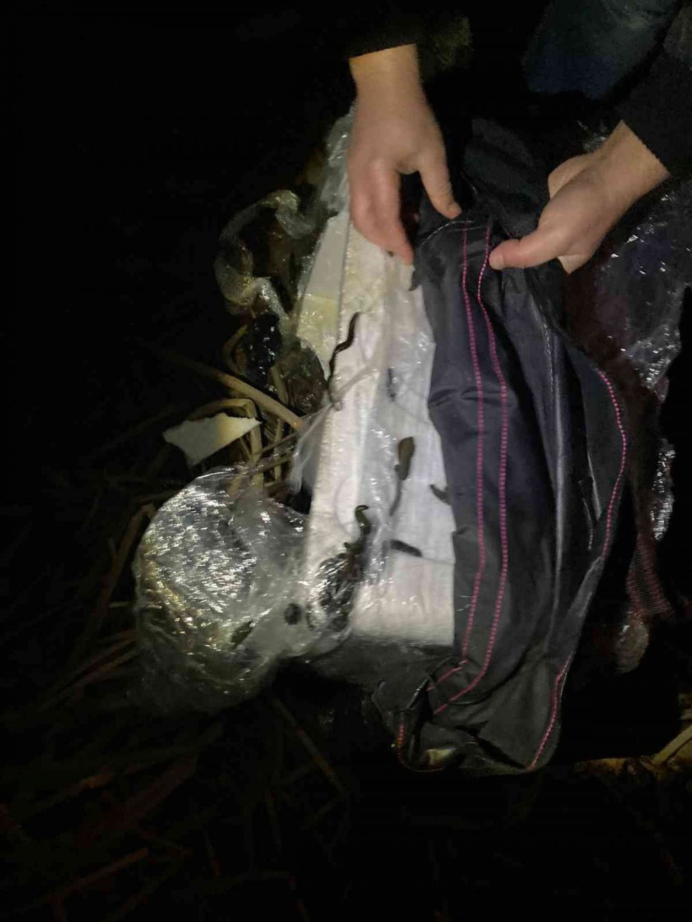 Yurt dışına çıkarılmak istenen 4 bin canlı tıbbi sülük havalimanında yakalandı