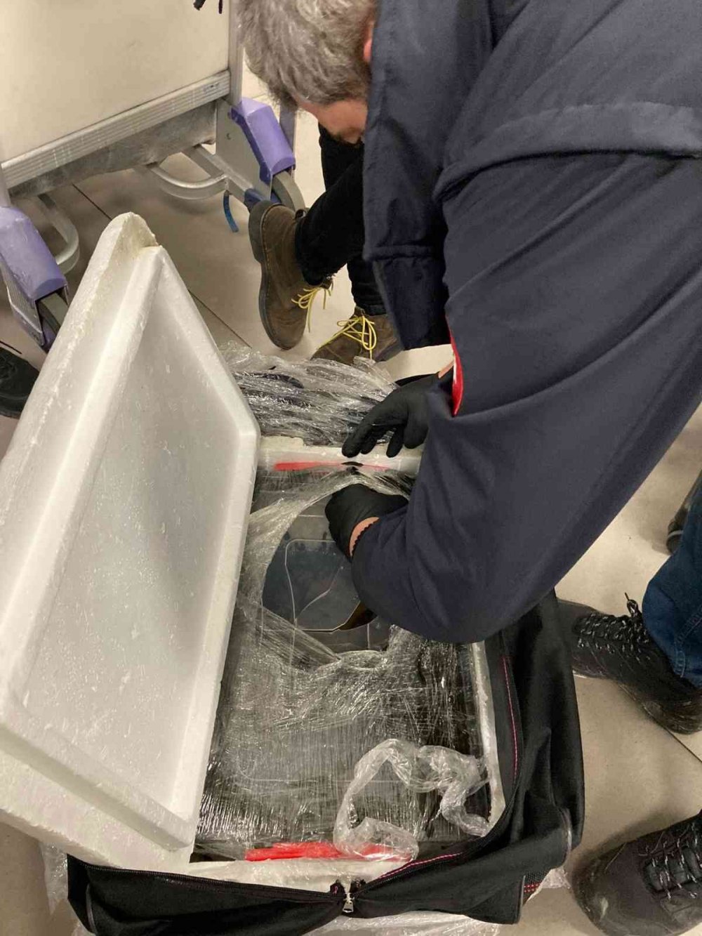 Yurt dışına çıkarılmak istenen 4 bin canlı tıbbi sülük havalimanında yakalandı