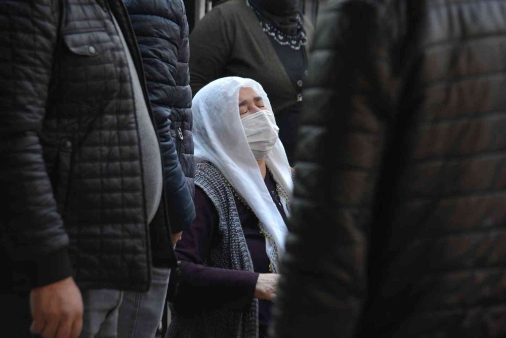 Ölüm onu alışverişte yakaladı! Market önündeki kedi cesedin yanından ayrılmak istemedi