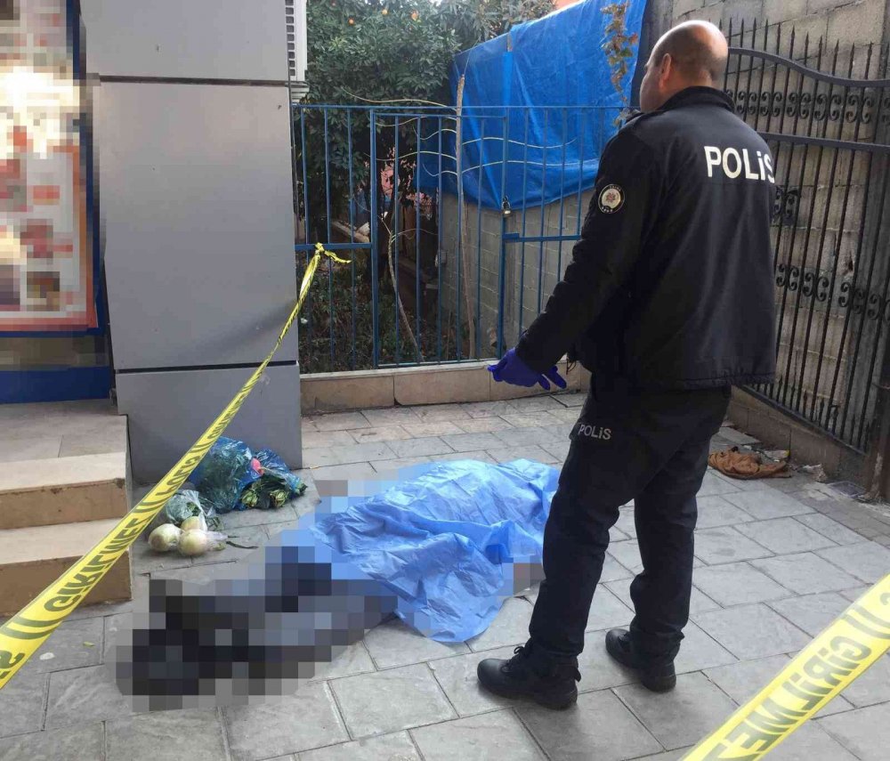 Ölüm onu alışverişte yakaladı! Market önündeki kedi cesedin yanından ayrılmak istemedi