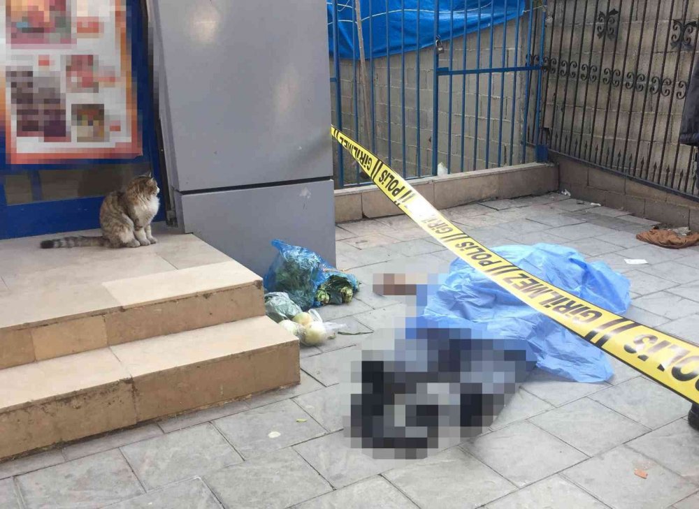 Ölüm onu alışverişte yakaladı! Market önündeki kedi cesedin yanından ayrılmak istemedi