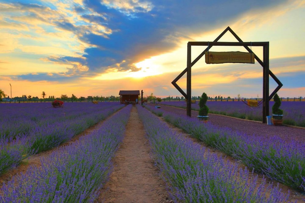 Konya Karatay'da 2021 yeşillenerek geçti