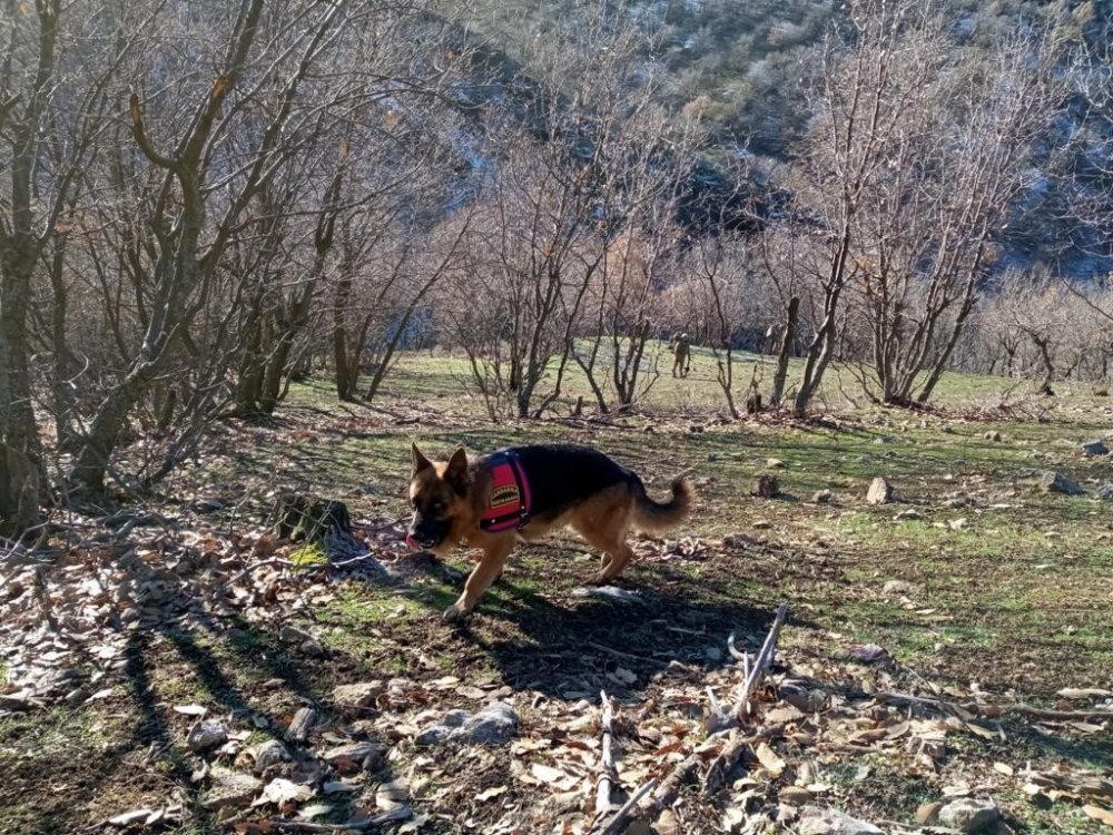 PKK'ya bir darbe daha! Eren Kış-14 Operasyonu başladı
