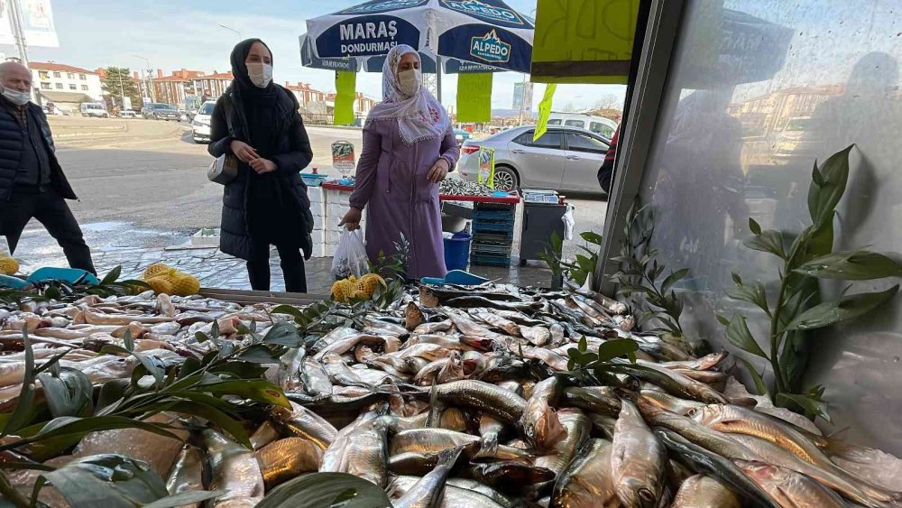 Mangal söndüren balık: Tırsi balığının kilosunu 10 liraya satıyorlar
