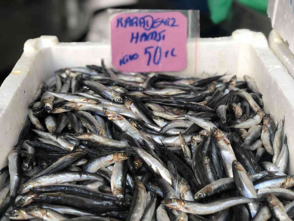 Havalar soğudu hamsinin fiyatı 50 lira oldu
