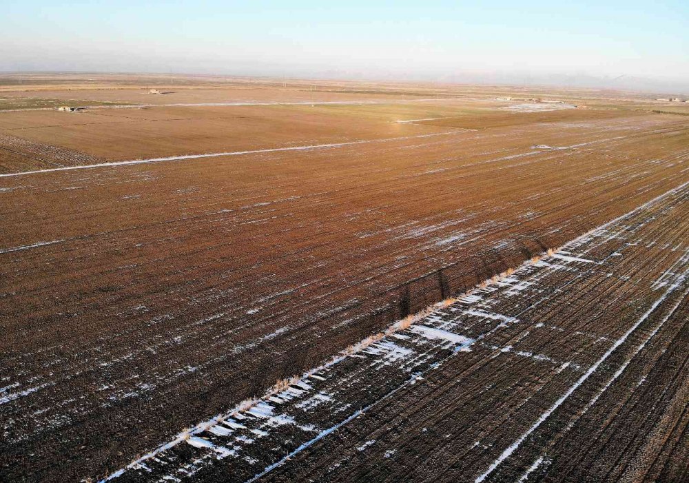 Tarlalar suya doydu! Konya'da yüzde 60 rekolte artışı bekleniyor