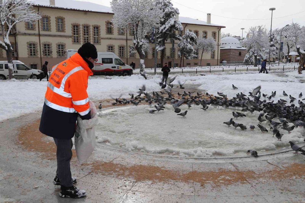 Konya'da can dostları karda kışta unutulmuyor