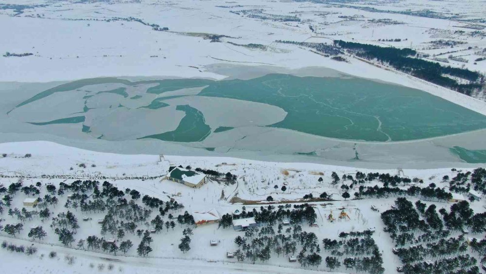 Türkiye'nin Antarktika'sında buzullar hareket ediyor