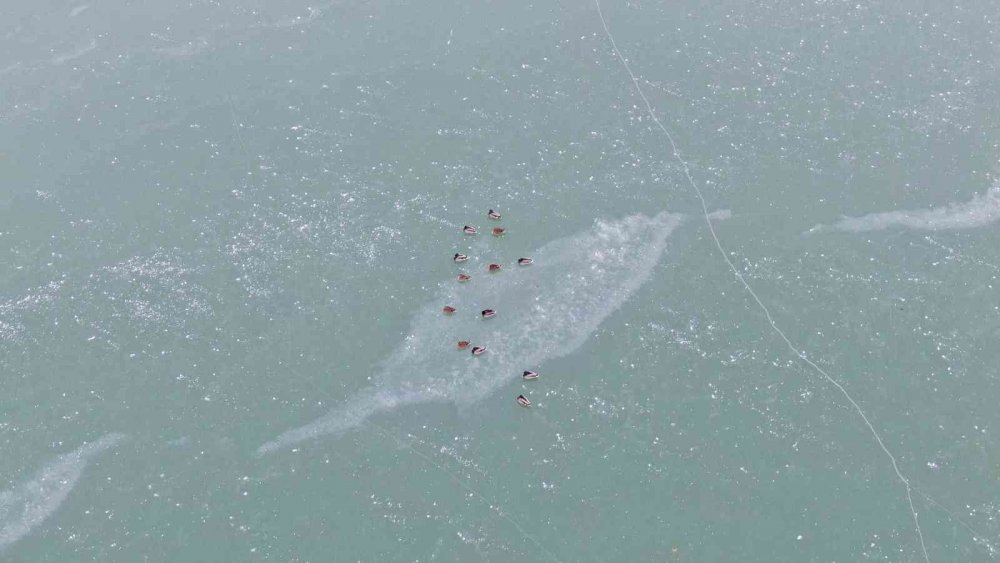 Türkiye'nin Antarktika'sında buzullar hareket ediyor