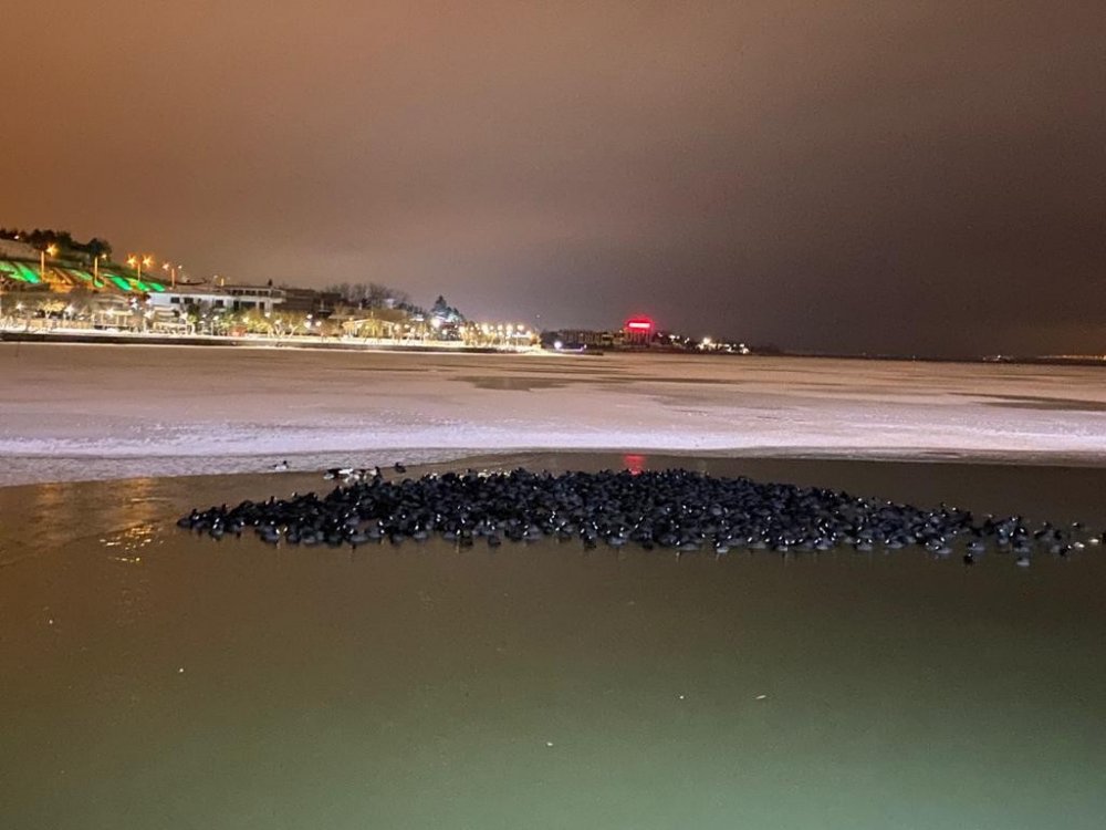 Ankara'nın göbeğinde iceberg