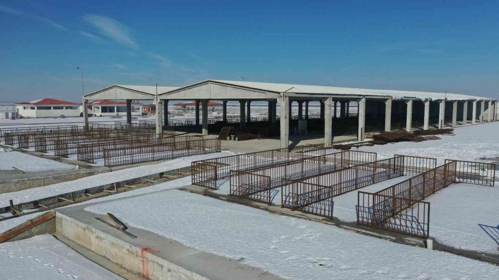 Türkiye'nin en çok sığır sayısına sahip olan Konya'ya dev hayvan pazarı