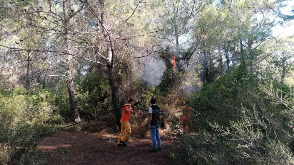 Orman yangınlarının hesabı soruluyor! Manavgat’ta 3 yeri ateşe veren Semih Kuloğlu'na rekor ceza
