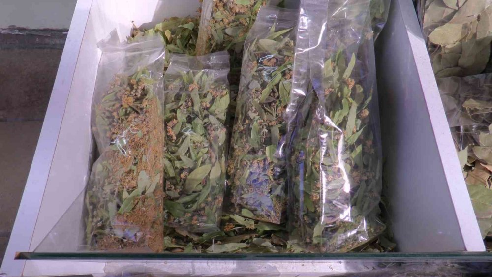 1 kilo ıhlamur 350 lira oldu