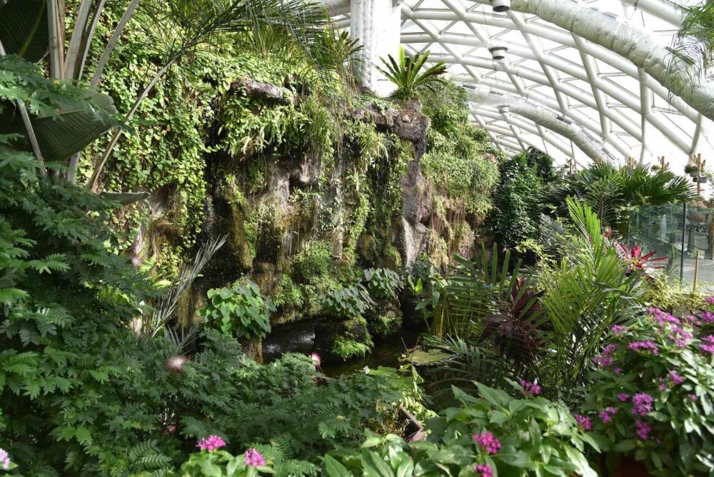 Konya Tropikal Kelebek Bahçesi yeniden ziyarete açıldı