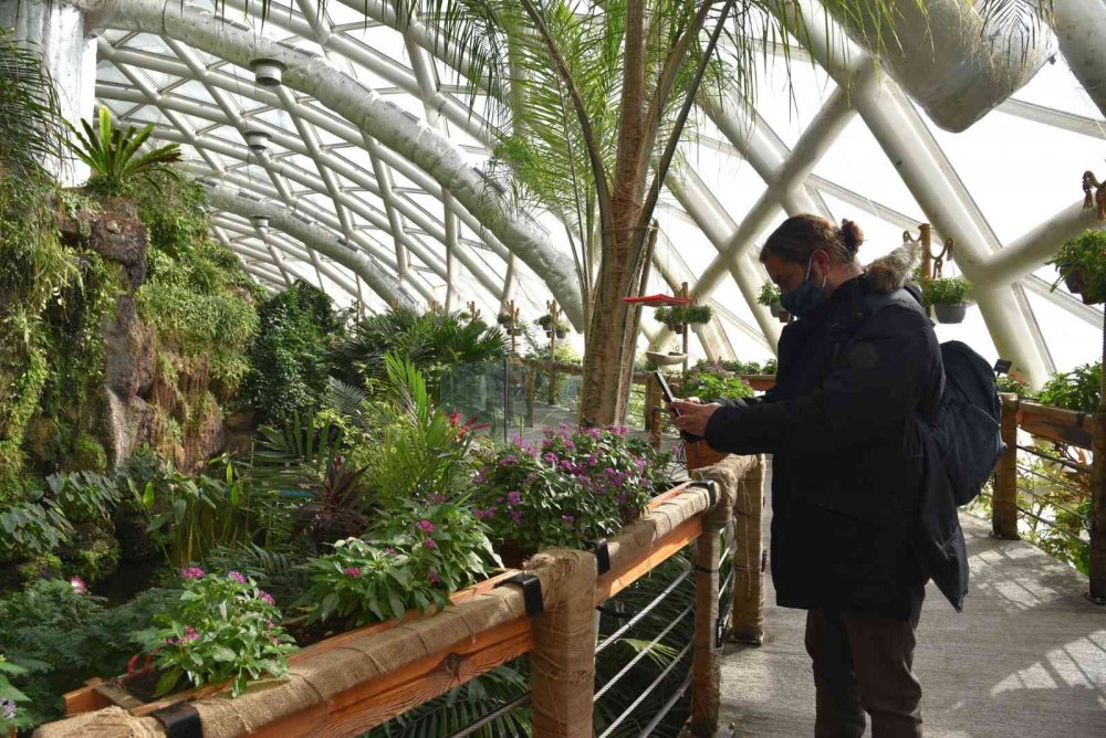 Konya Tropikal Kelebek Bahçesi yeniden ziyarete açıldı