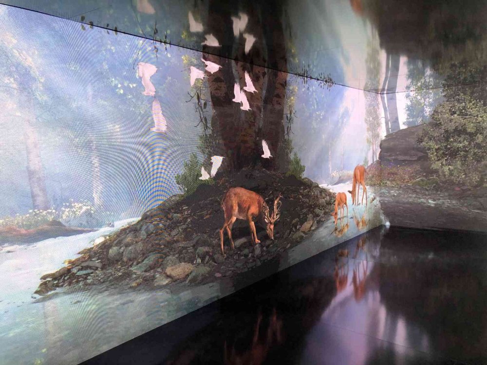 Konya'da kurulan bu tünel iklim değişikliğinin doğadaki tahribatını üç boyutla yansıtıyor