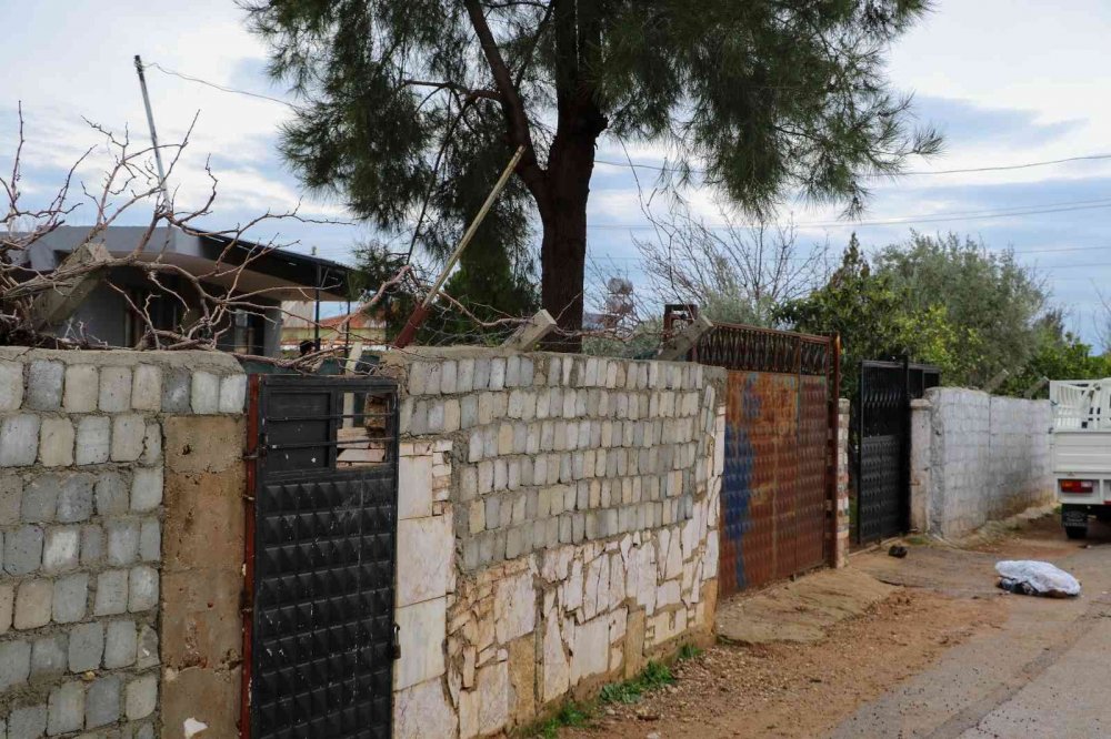 Ailelerin kavgası cinayetle bitti! Mevlüt Eren öldü oğlu yaralı