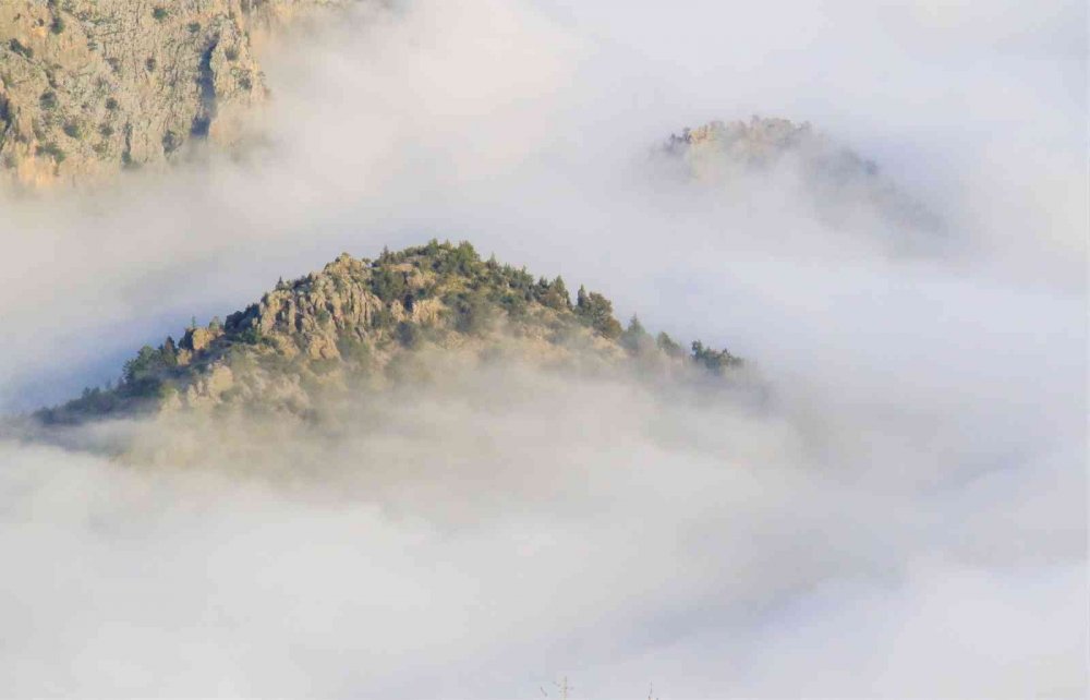 Suyu Konya'ya taşınan Göksu Nehri havadan görüntülendi
