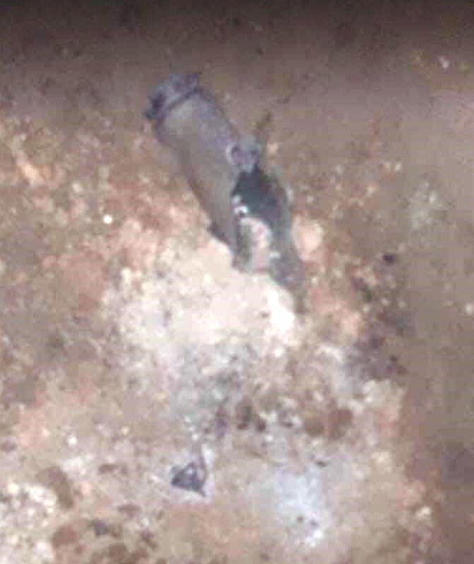 Gaziantep'te korkutan patlama! Suriye'den atılan 2 havan topu Karkamış'a düştü