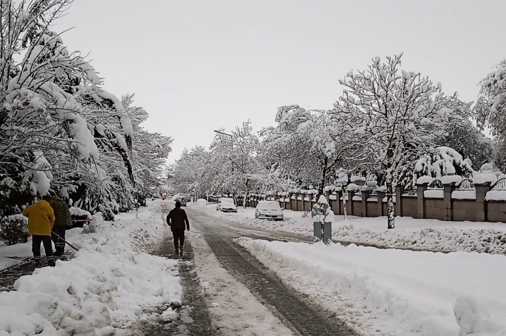 Konya’nın bir ilçesinde kar yağışı nedeniyle ağaçlar devirdi! Okullar tatil edildi