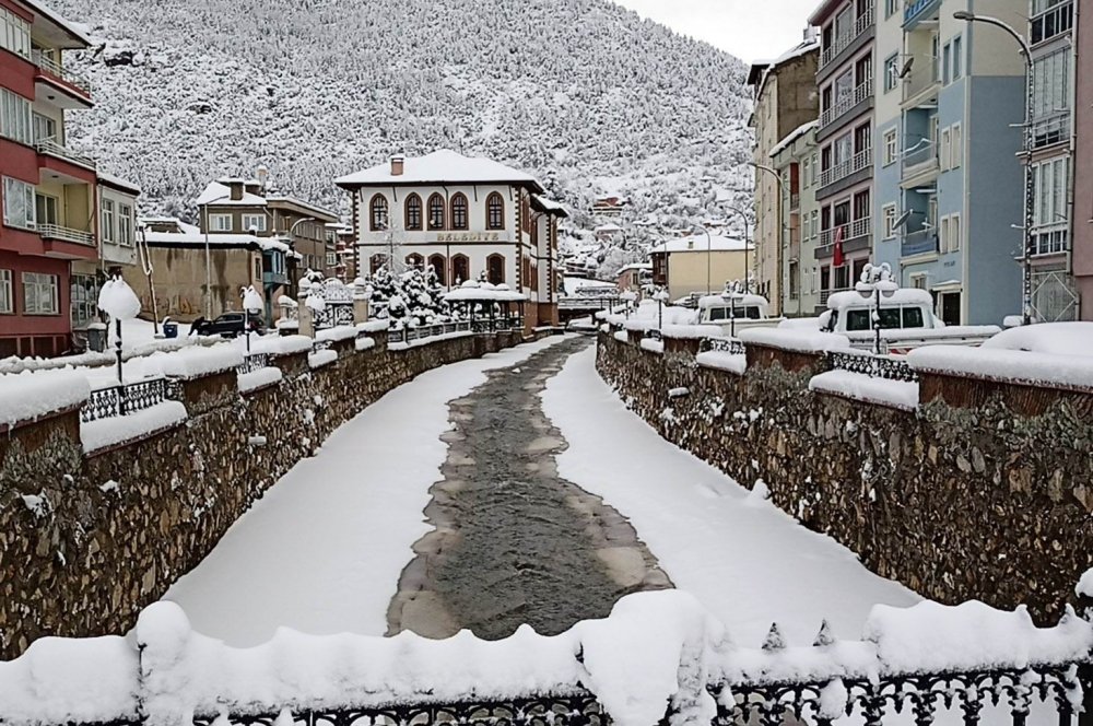 Konya’nın bir ilçesinde kar yağışı nedeniyle ağaçlar devirdi! Okullar tatil edildi