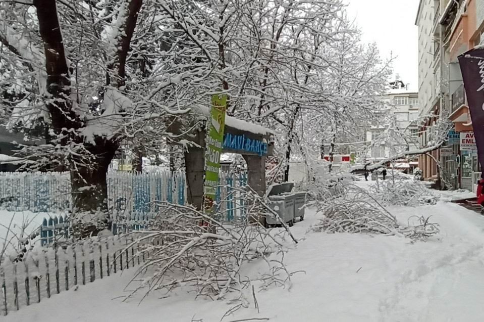 Konya’nın bir ilçesinde kar yağışı nedeniyle ağaçlar devirdi! Okullar tatil edildi