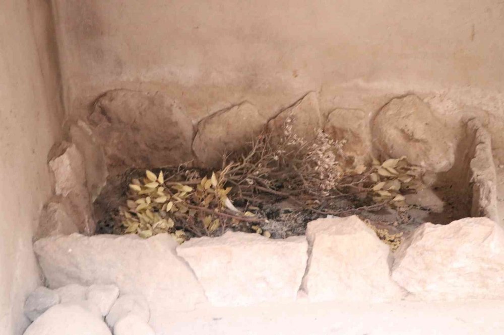 Aksaray'da bulunan 10 bin 500 yıl kafatasının sırrı ne?