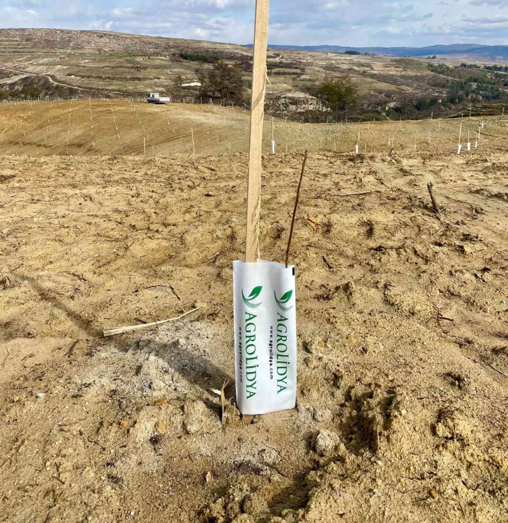 Manisa'nın arazilerine yabancı markajı!