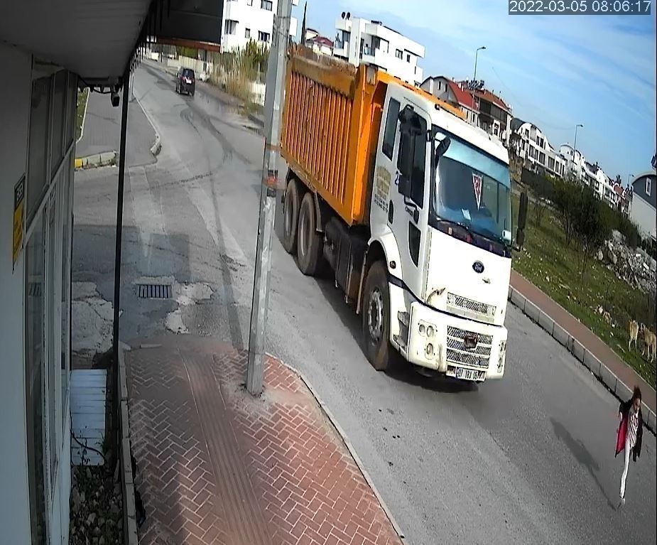 Hayvanseverler mutlu musunuz? Mahra Melin Pınar 23 günlük yaşam savaşını kaybetti