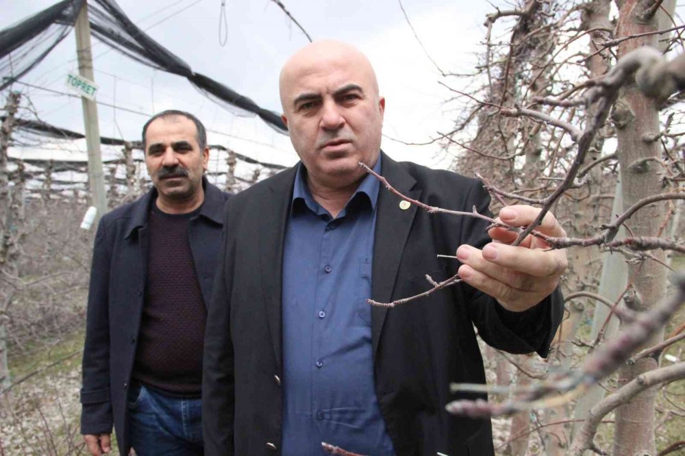 Karaman'da 12 milyon ağaçtan güzel haber