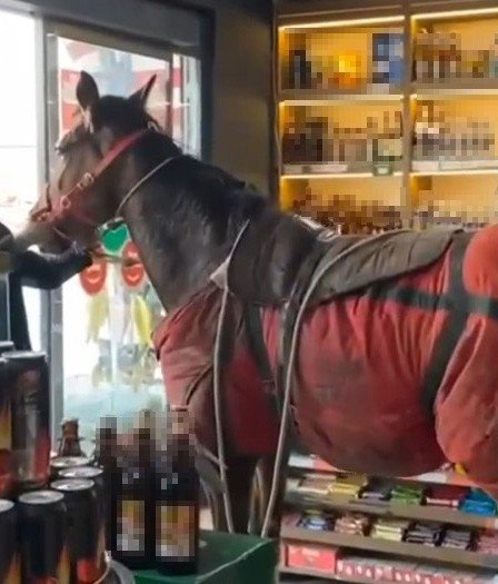 Bu da atlı hırsızlık! Antalya'da kameralar öyle görüntüler çekti ki! 200 bin liralık hırsızlık