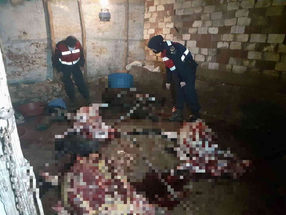 Manisa'da at ve eşek eti skandalı! Yakalanmadan önce halka yedirdiler mi?