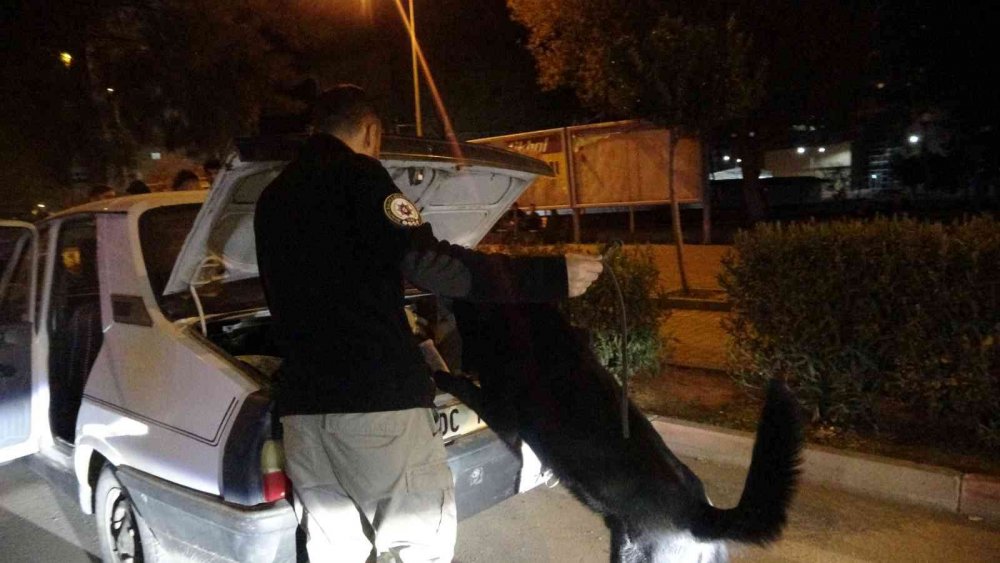 Adana'da canlı sinema! Polis uygulama yaptı onlar çekirdek yeyip film gibi izledi