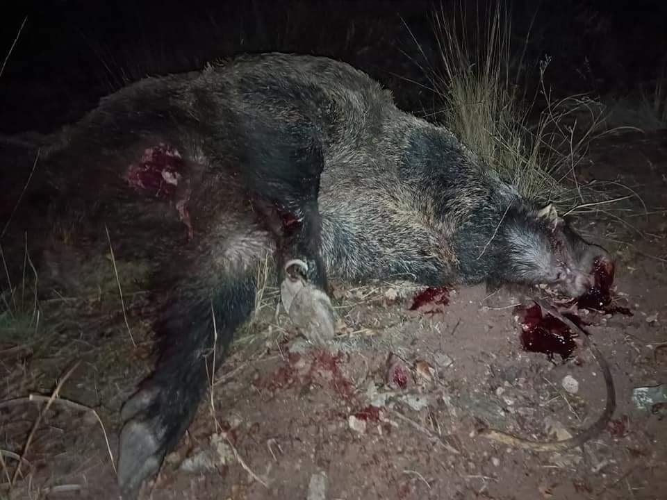 Sürücüler dikkat! Konya'da sezon açıldı!