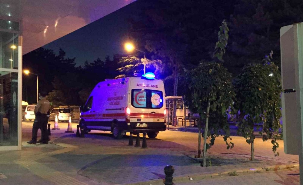 TikTok videosu çeken şahıstan sonra Konya'da da bir at vakası ortaya çıktı