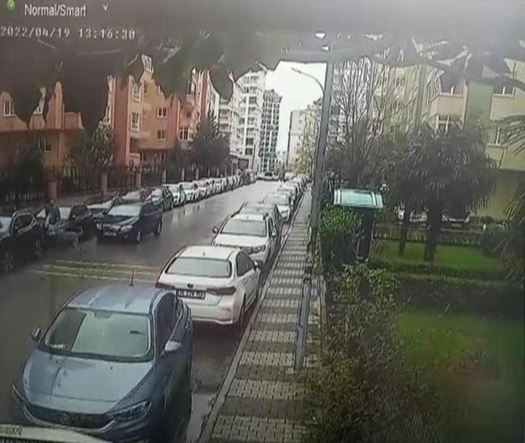 İyice bıktırdınız... Pitbullun saldırdığı vatandaş zar zor hayatını kurtardı