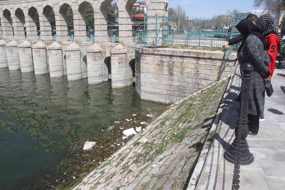 Konya'da ürküten manzara! Binlerce ölü balık kıyıya vurdu