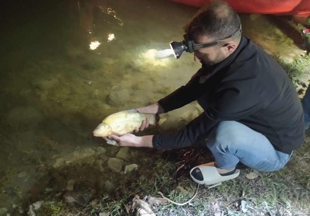 Altınapa Barajı yaşatılmaya çalışılıyor... Ağlar temizleniyor denetimler sıklaştırılıyor