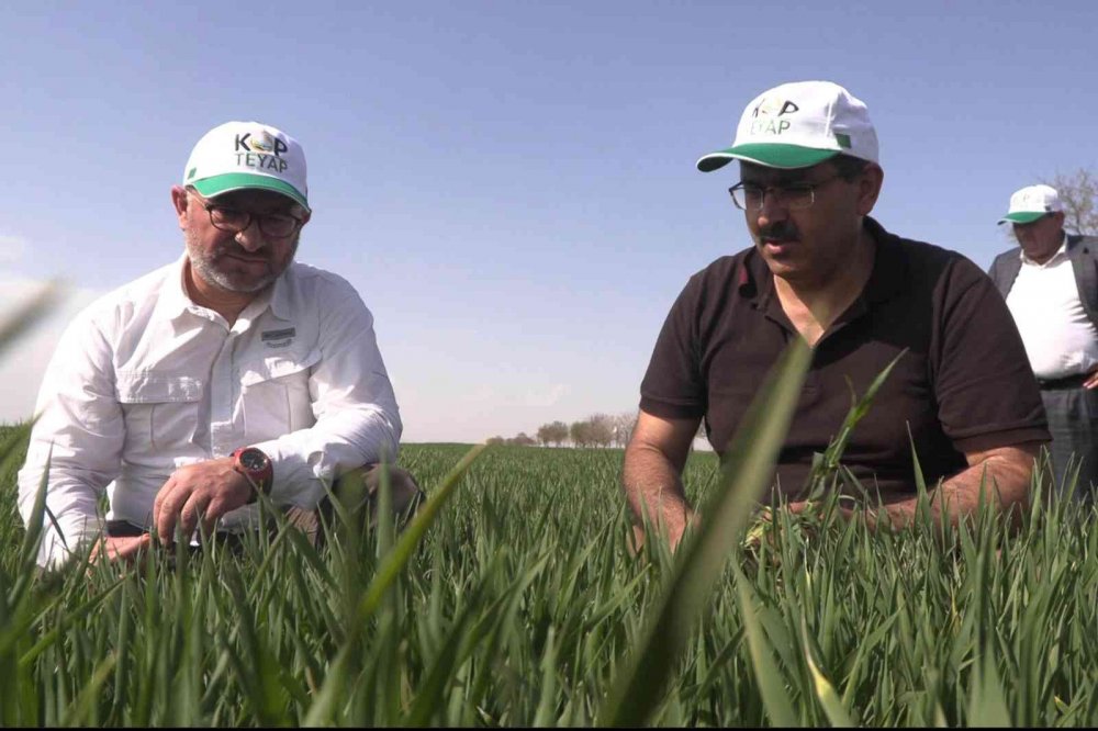 Bakan Varank imzayı attı! KOP bölgesinde 78 proje 120 milyon 470 bin TL’lik destek