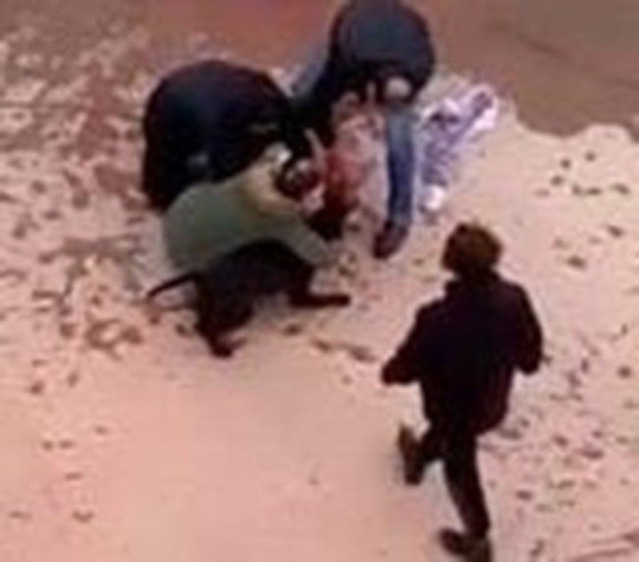 Olan Asiye Ateş'e oldu! Pitbulların sahipleri yine tahliye edildi! Tutuklu sanık kalmadı