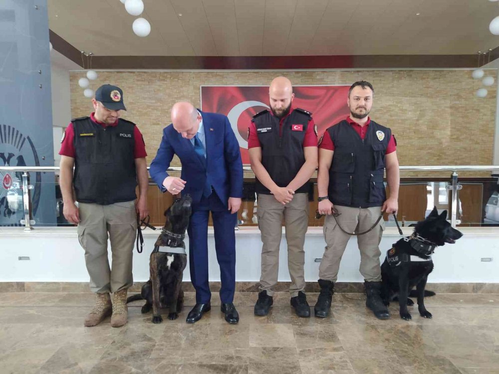 Bakan Soylu'dan 'Metamfetamin' vurgusu: Tüm topluma çağrım şudur! Lütfen bu meseleyi takip edelim